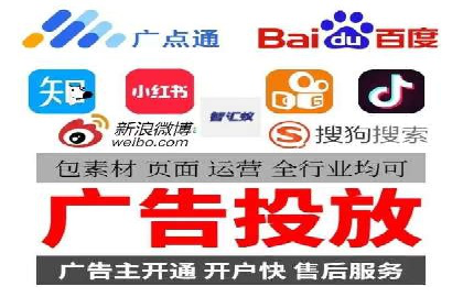 SEM托管公司案例分析：实战技巧全解析